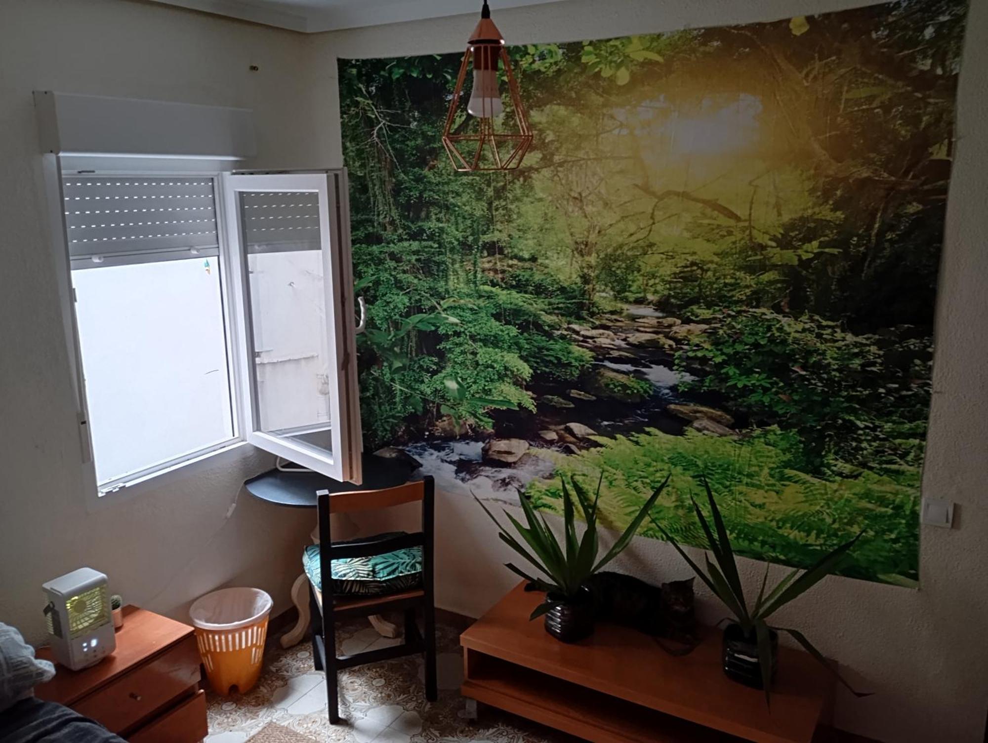 Grosses Modernes Zimmer "Silber" Fuer 2 Personen Und Katzenliebhaber Valência Exterior foto