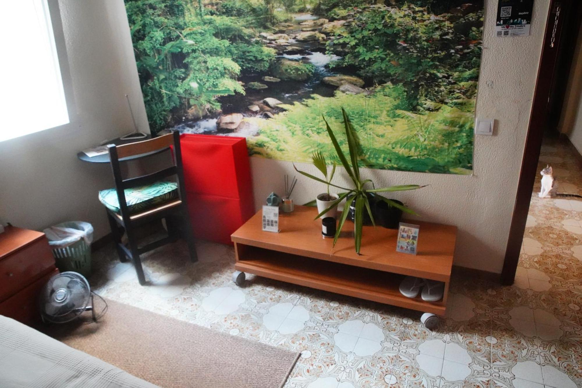 Grosses Modernes Zimmer "Silber" Fuer 2 Personen Und Katzenliebhaber Valência Exterior foto
